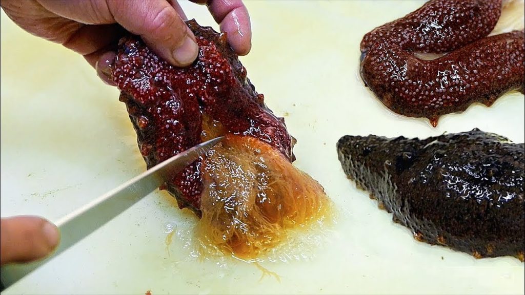 Japanese Street Food – RED SEA CUCUMBER Seafood Japan | Sweets Paradise