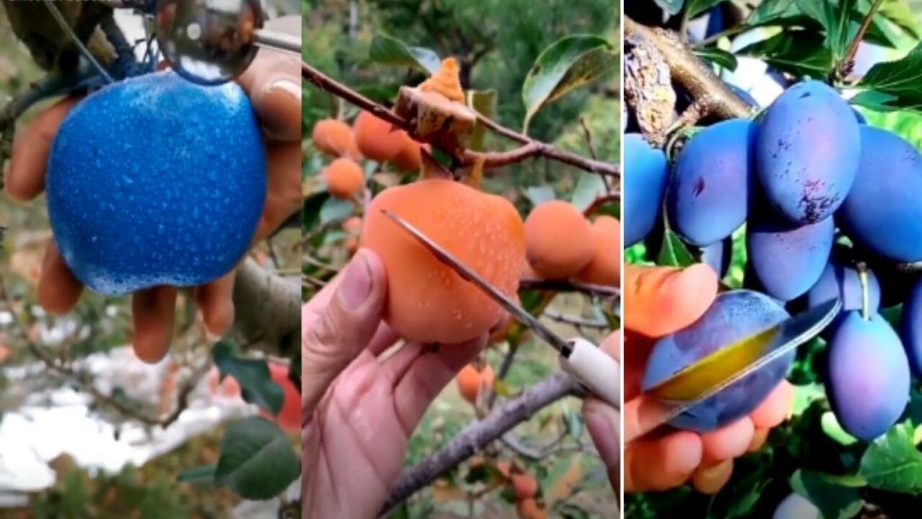 new tik tok Japanese food.Biue Apple ,papaya, Caeeots……. Sweets Paradise