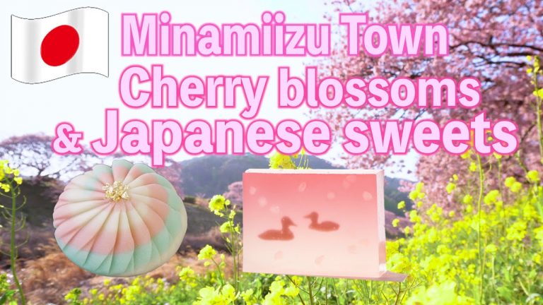 JAPAN Trip Making Sweets Beautiful Kawazu Cherry Blossoms Along The River In Minamiizu Town 